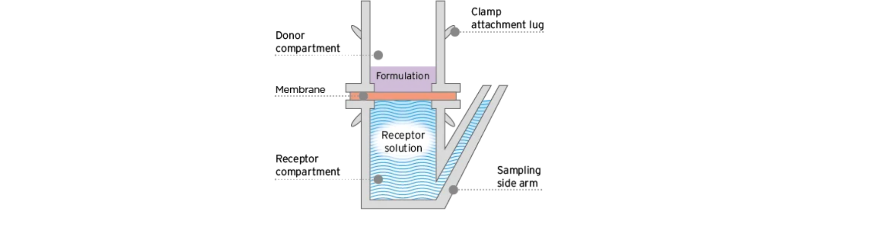 Nail IVPT diffusion cell setup for ungual drug delivery testing