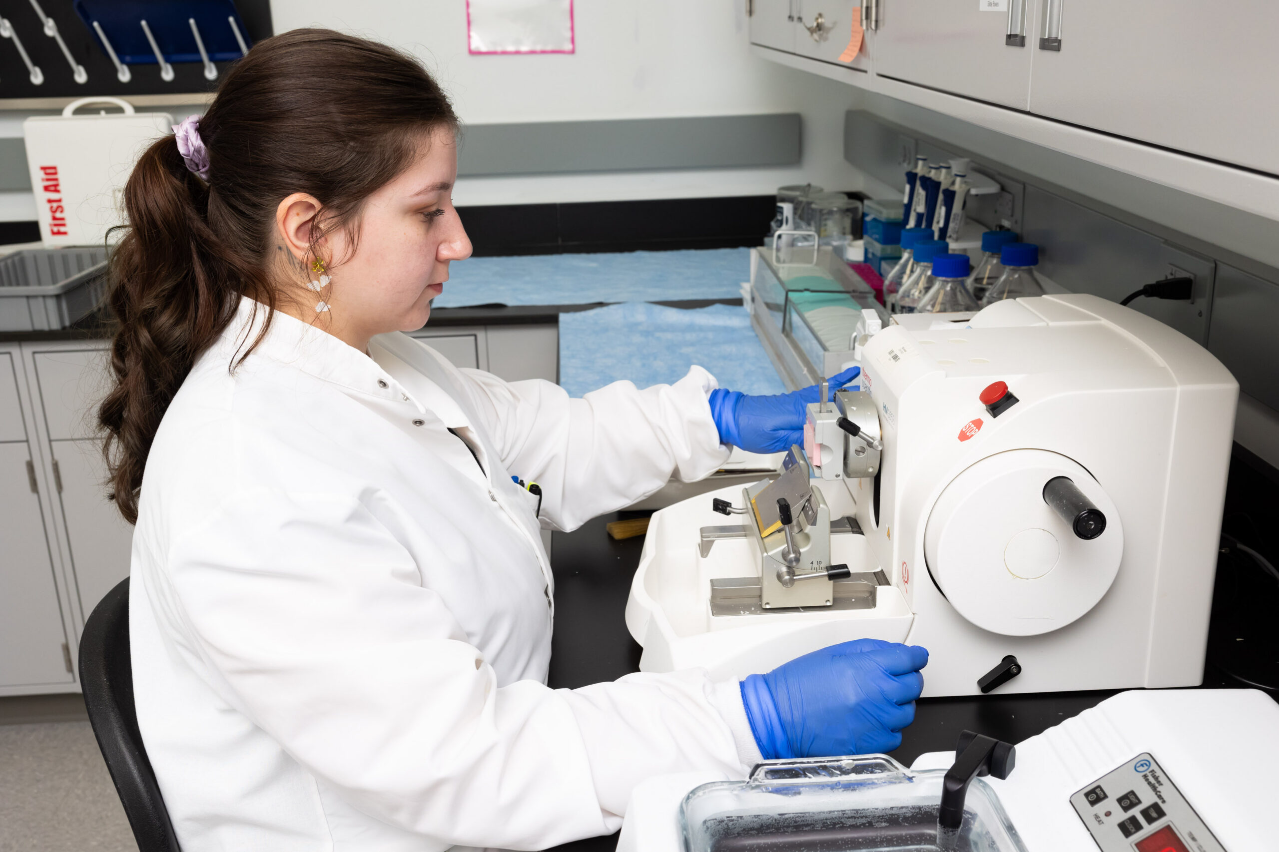 Scientist performing histology and tissue culture analysis in pharmaceutical research biology and tissue culture laboratory