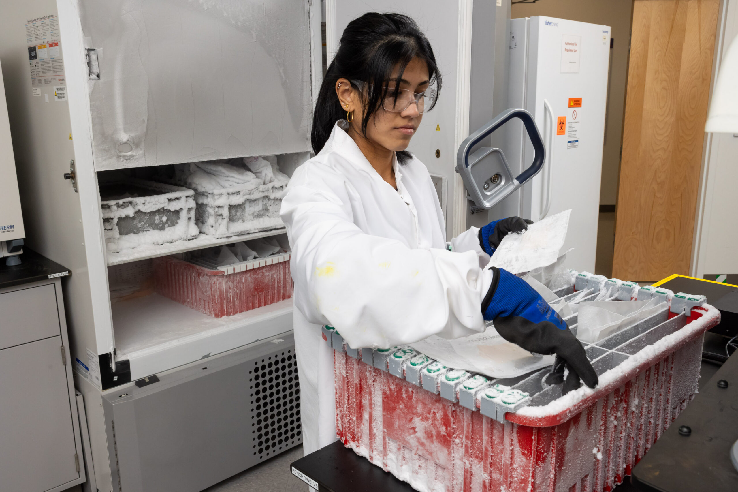 Scientist handling human skin samples in research biology and tissue culture laboratory for biological model development