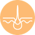 Dermal & Transdermal